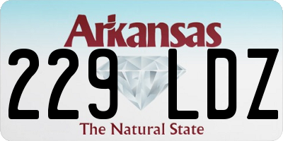 AR license plate 229LDZ