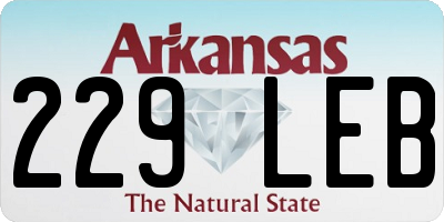 AR license plate 229LEB