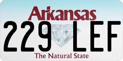 AR license plate 229LEF