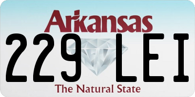 AR license plate 229LEI