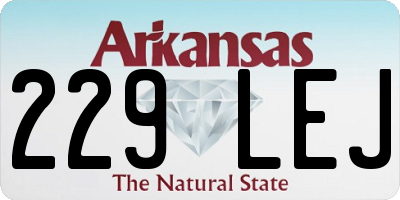 AR license plate 229LEJ