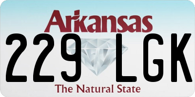 AR license plate 229LGK
