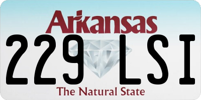 AR license plate 229LSI