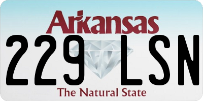 AR license plate 229LSN