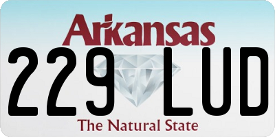 AR license plate 229LUD
