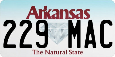 AR license plate 229MAC