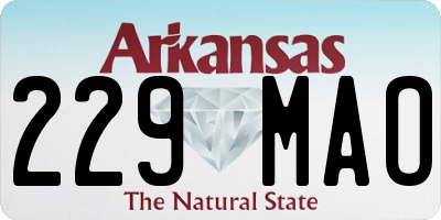AR license plate 229MAO