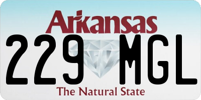 AR license plate 229MGL