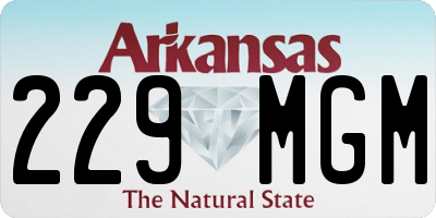 AR license plate 229MGM