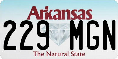 AR license plate 229MGN