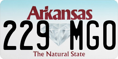 AR license plate 229MGO