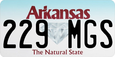 AR license plate 229MGS