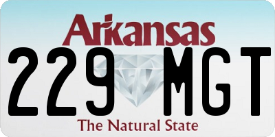 AR license plate 229MGT