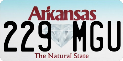 AR license plate 229MGU