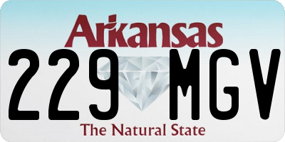 AR license plate 229MGV