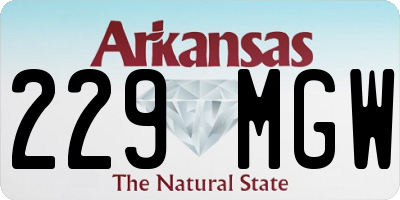 AR license plate 229MGW