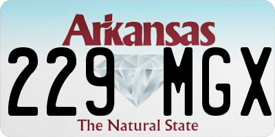 AR license plate 229MGX