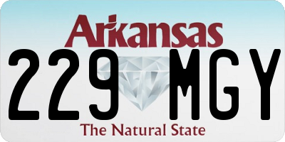 AR license plate 229MGY