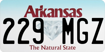 AR license plate 229MGZ