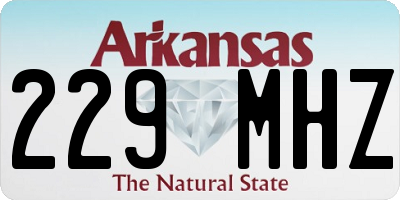 AR license plate 229MHZ
