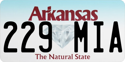 AR license plate 229MIA