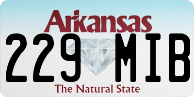 AR license plate 229MIB