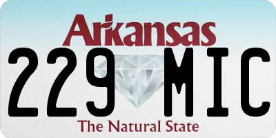 AR license plate 229MIC
