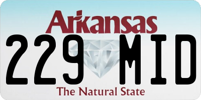 AR license plate 229MID