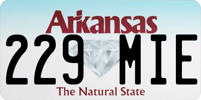 AR license plate 229MIE