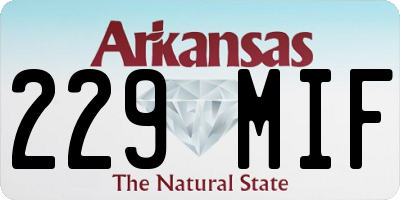 AR license plate 229MIF