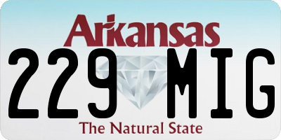 AR license plate 229MIG