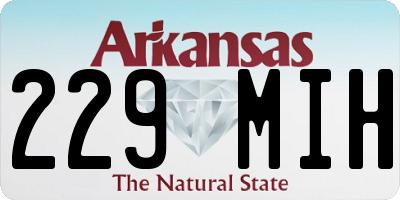 AR license plate 229MIH