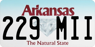 AR license plate 229MII