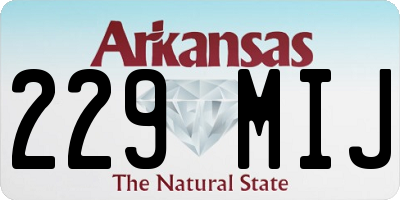 AR license plate 229MIJ