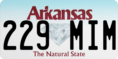 AR license plate 229MIM