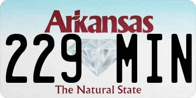 AR license plate 229MIN
