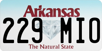 AR license plate 229MIO