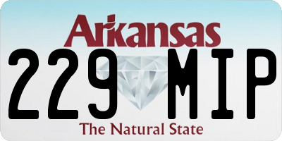 AR license plate 229MIP