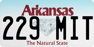 AR license plate 229MIT