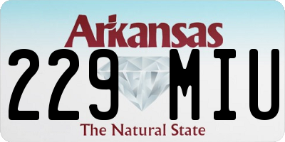 AR license plate 229MIU
