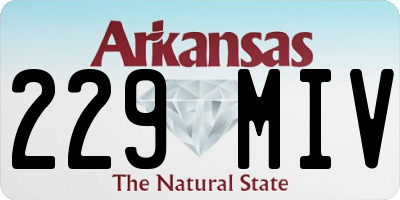 AR license plate 229MIV