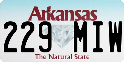 AR license plate 229MIW