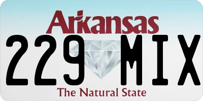 AR license plate 229MIX
