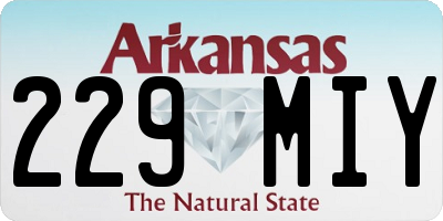 AR license plate 229MIY
