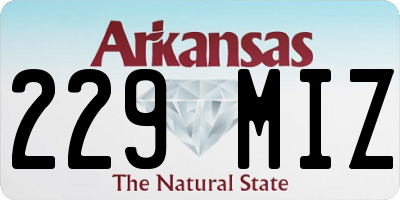AR license plate 229MIZ