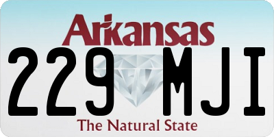 AR license plate 229MJI