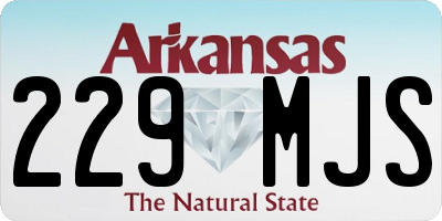 AR license plate 229MJS