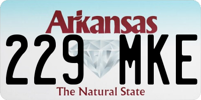 AR license plate 229MKE