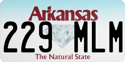 AR license plate 229MLM