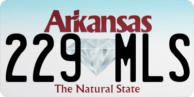 AR license plate 229MLS